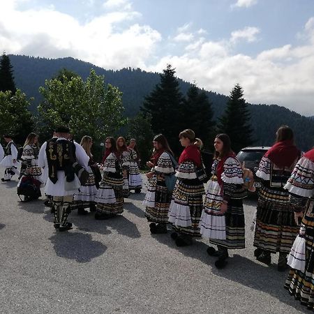 Neraïdochóri Ξενοδοχείο Μαγκιωση מראה חיצוני תמונה